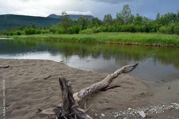 Fototapeta lake in the forest