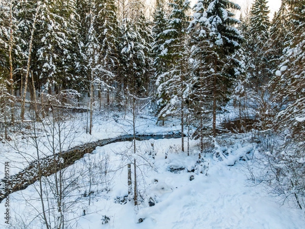 Fototapeta Winter forest and river