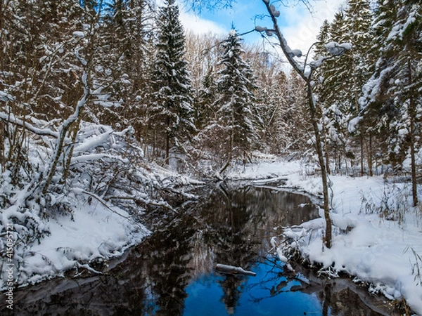 Fototapeta Winter forest and river
