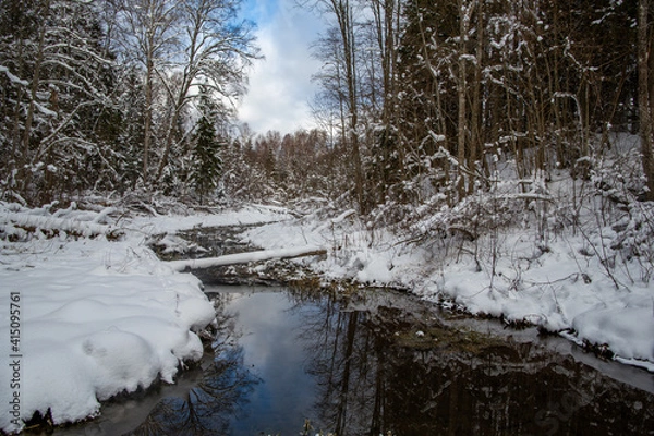 Fototapeta Winter forest and river