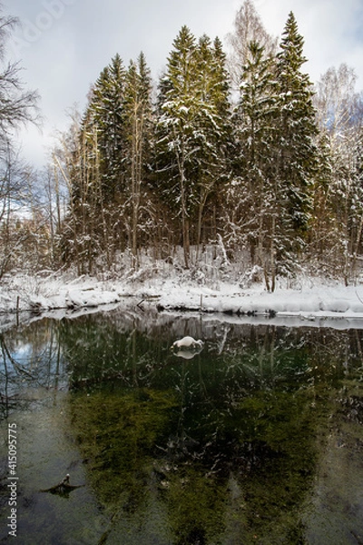 Fototapeta Siniallikad