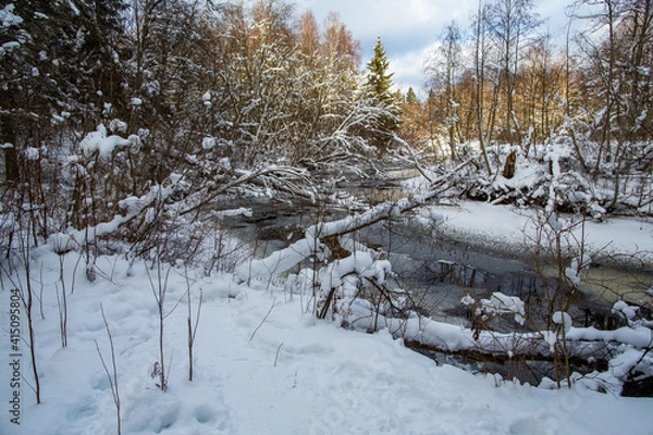 Fototapeta Winter forest and river