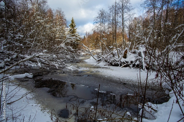Fototapeta Winter forest and river