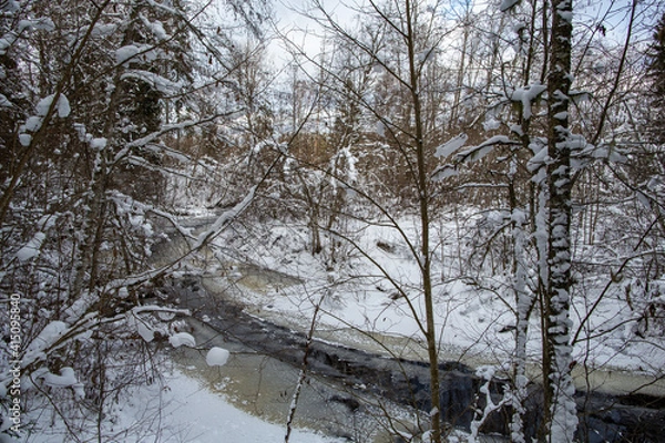 Fototapeta Winter forest and river