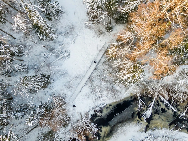 Fototapeta Winter forest and river