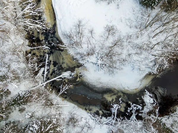 Fototapeta Winter forest and river