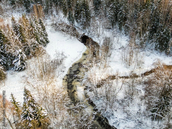 Fototapeta Winter forest and river