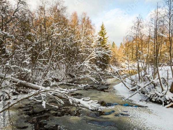 Fototapeta Winter forest and river