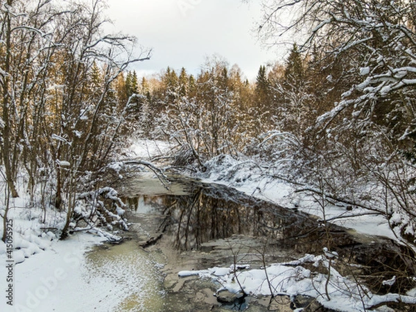 Fototapeta Winter forest and river