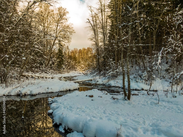 Fototapeta Winter forest and river