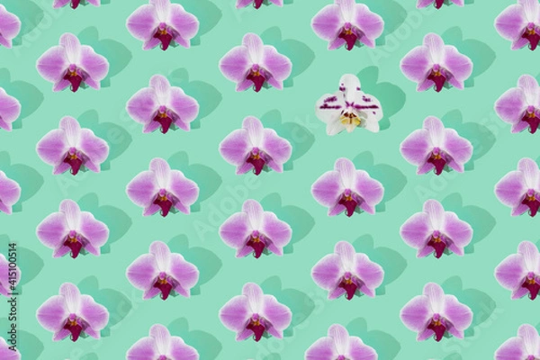 Fototapeta Pattern with pink orchid lowers and one differente. Mint background.