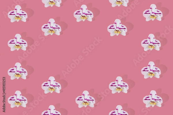 Fototapeta Purple spotted white phalaenopsis orchid blooms pattern on pink background. Orchid flower flat lay with empty circle in the center.