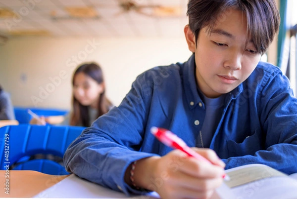 Fototapeta Teenager students studying in classroom