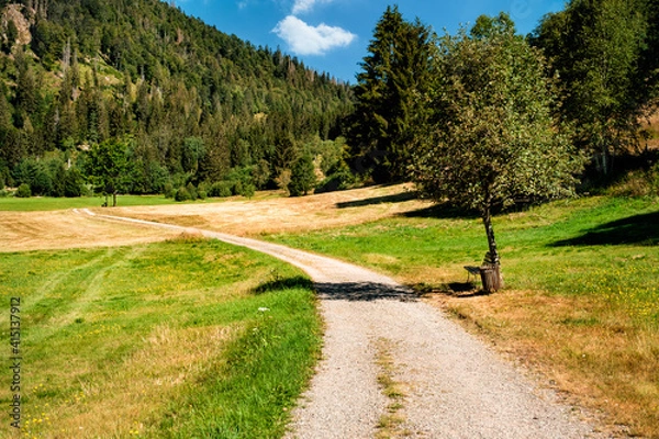 Obraz Winding gravel hiking path, a bench under a tree and meadows in a valley in the Black Forest on a sunny summer day. Menzenschwand, Baden-Württemberg, Germany