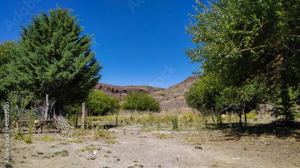 Obraz Trees in the mountains