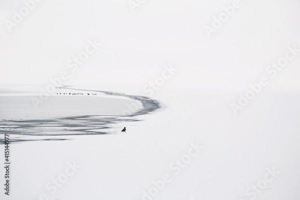 Obraz ice and frozen waves in the black sea