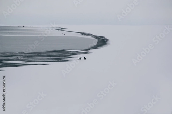 Obraz ice and frozen waves in the black sea