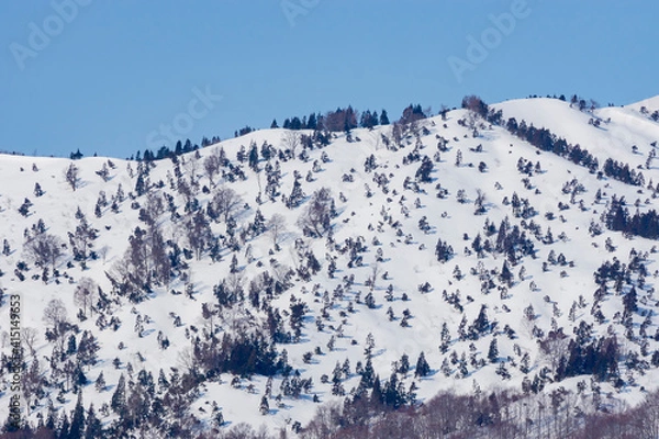 Fototapeta 春の晴天の鳥海高原