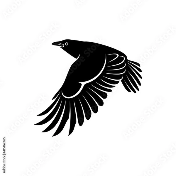 Obraz Raven bird vector illustration design