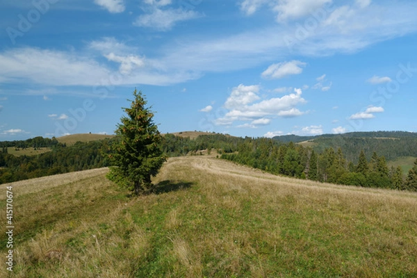 Fototapeta Panorama view of beautiful Carpathian mountains and hills