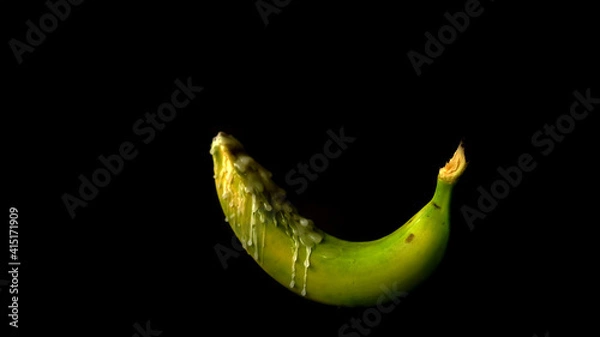 Obraz green chili pepper