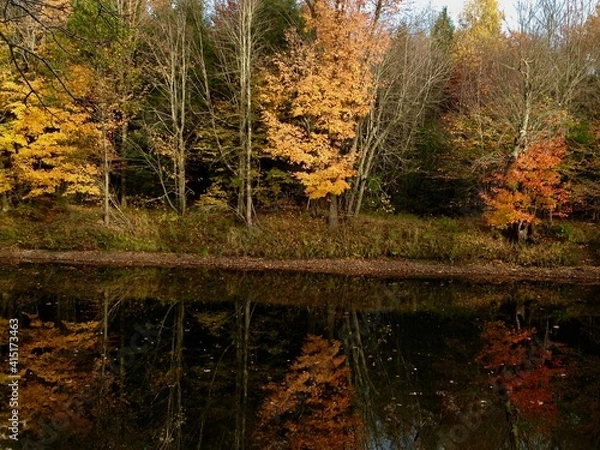 Obraz Fall Trees Reflected in Water