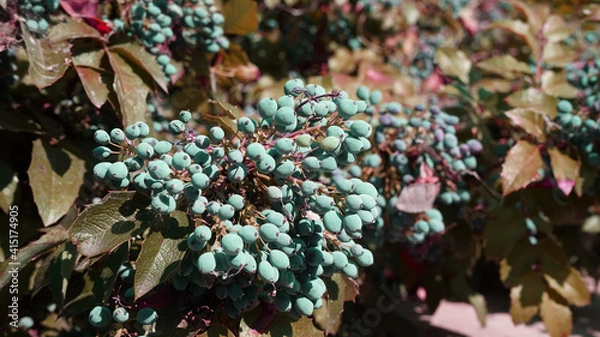 Obraz colorful christmas tree