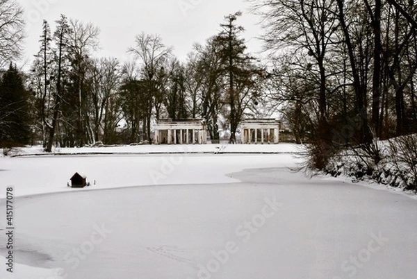 Obraz winter in the park