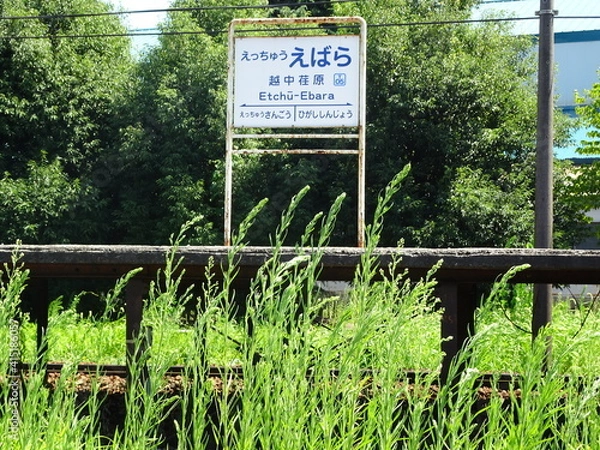Obraz 夏の駅