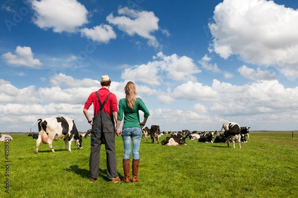 Obraz Typical Dutch landscape with farmer couple and cows