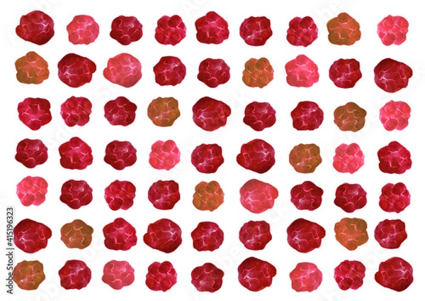 Obraz 梅干し　挿絵　和食　水彩イラスト　和風　日本食