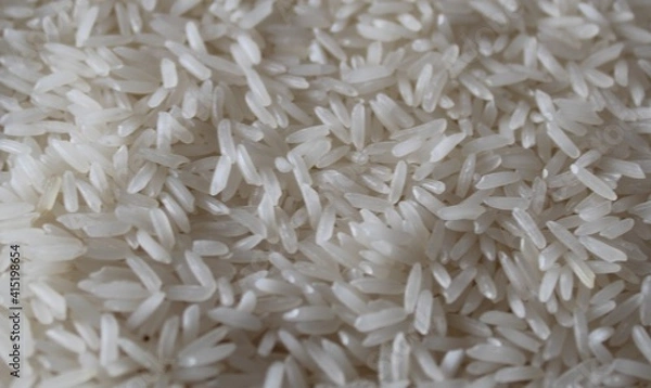 Fototapeta riz