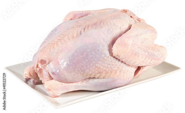 Obraz Raw turkey. Isolated
