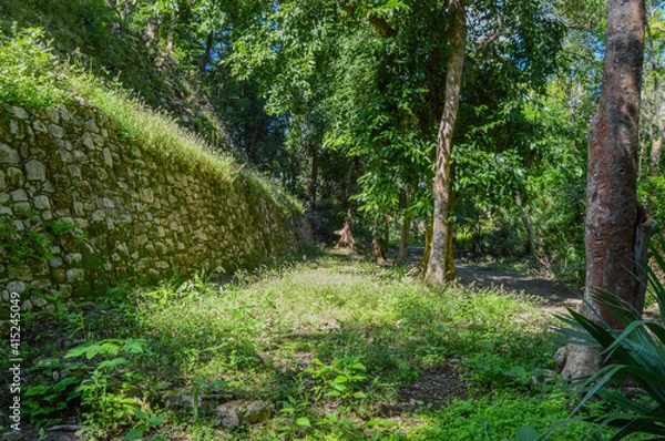 Obraz path in the forest