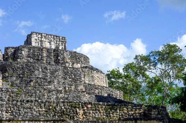 Obraz ancient castle in the forest