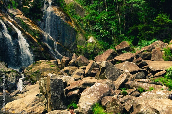 Fototapeta rocks in the forest