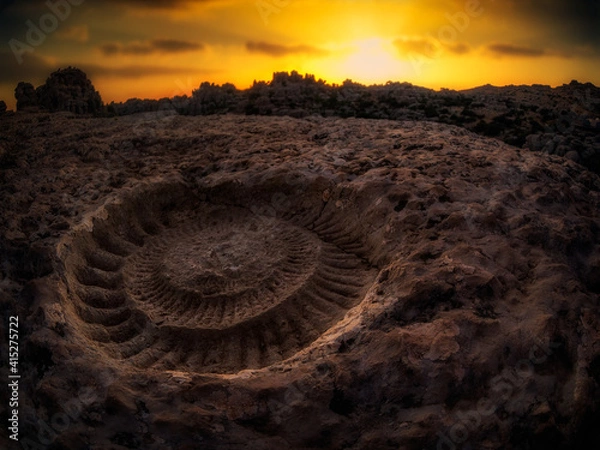 Obraz Amonite / Torcal de Antequera