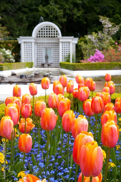 Obraz star pond at Butchart Gardens, Victoria, BC
