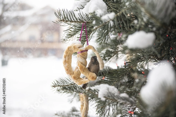 Obraz christmas tree in the snow