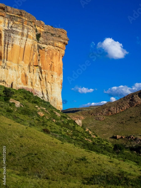 Fototapeta golden gate