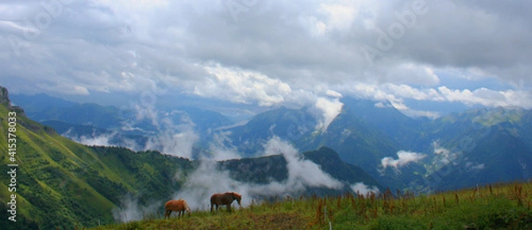 Obraz Chevaux dans la brume