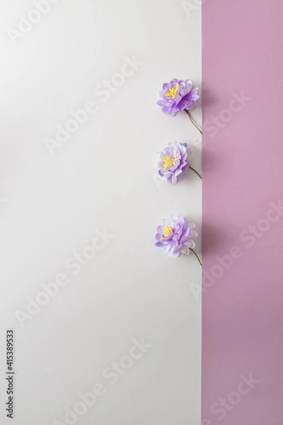 Fototapeta Three magenta blooms getting out from violet to white background.