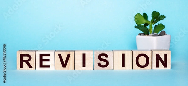 Fototapeta The word REVISION is written on wooden cubes near a flower in a pot on a light blue background