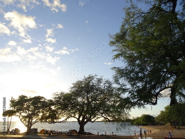 Obraz 人々が集う海岸