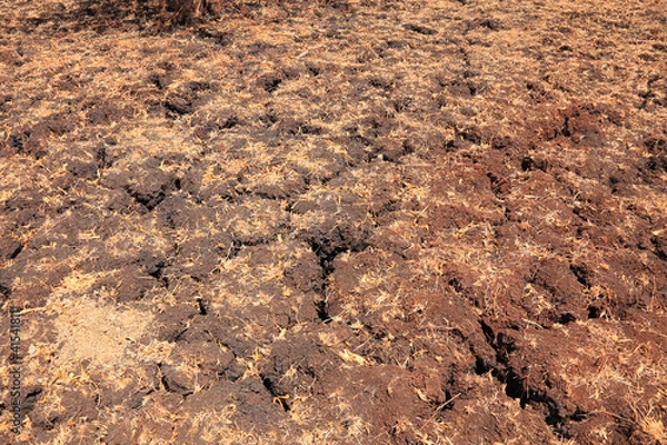 Obraz cracked earth