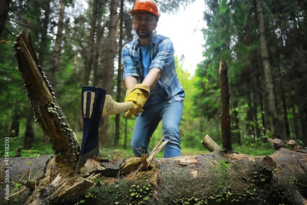 Fototapeta Male worker with an ax chopping a tree in the forest.