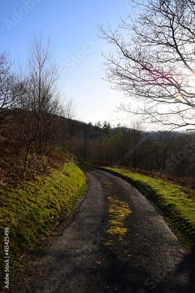 Fototapeta a single track road leading up to the mountains in the sunlight