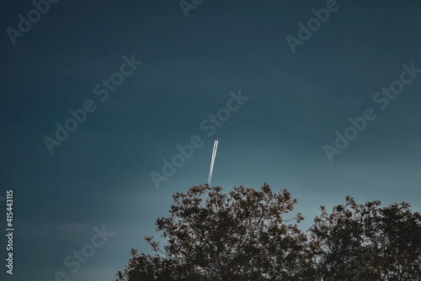 Obraz tree at night with plane