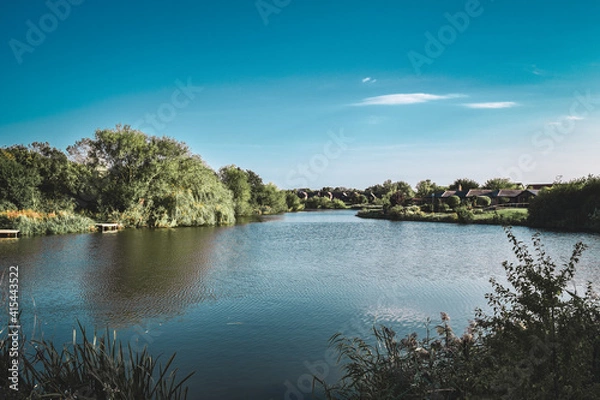 Fototapeta lake and forest