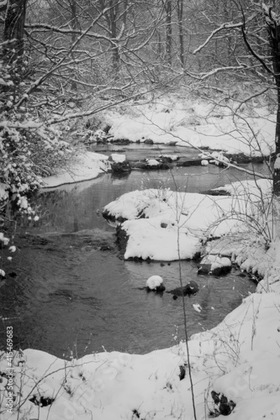 Obraz snowy creek